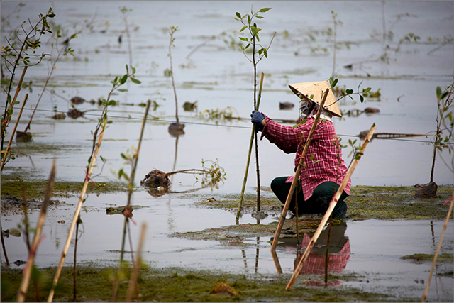 Chọn[-]sinh[-]kế[-]bền[-]vững[-]giúp[-]phụ[-]nữ[-]chống[-]chịu[-]rủi[-]ro[-]thiên[-]tai,[-]biến[-]đổi[-]khí[-]hậu[-]